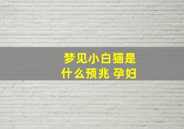 梦见小白猫是什么预兆 孕妇